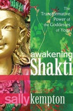 Awakening Shakti 9781604078916 Sally Kempton, Verzenden, Zo goed als nieuw, Sally Kempton