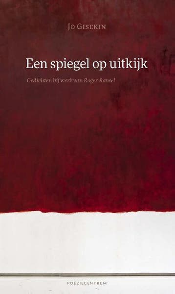 Een spiegel op uitkijk 9789056552275 Jo Gisekin, Verzenden, Jo Gisekin