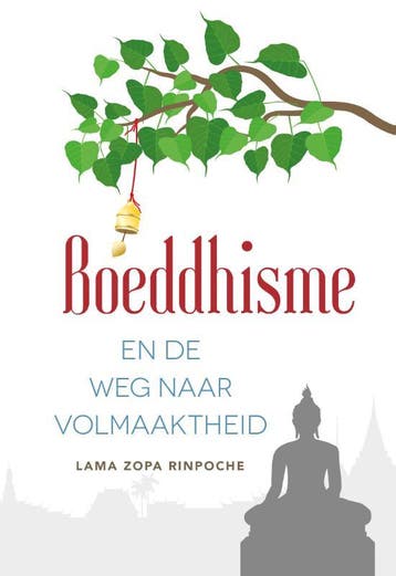 Boeddhisme en de weg naar volmaaktheid 9789493201293, Boeken, Verzenden, Zo goed als nieuw, Lama Zopa Rinpoche