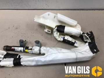 Airbag hemel links Tesla Model 3 O322891