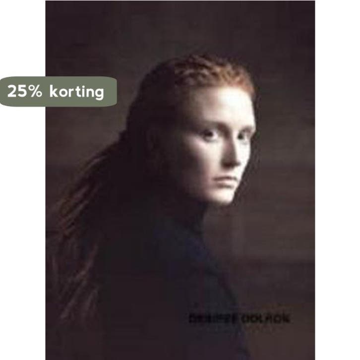 Desiree Dolron 9789058973481 W. van Sinderen, Boeken, Kunst en Cultuur | Fotografie en Design, Gelezen, Verzenden