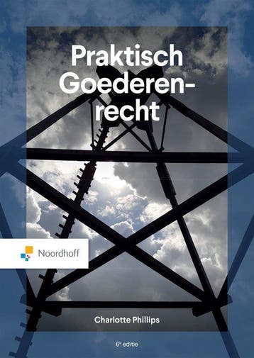 Praktisch Goederenrecht 9789001016395 Charlotte Phillips, Boeken, Verzenden, Gelezen, Charlotte Phillips