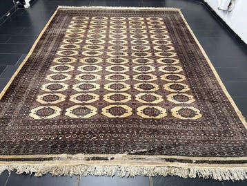 Buchara - Tapijt - 385 cm - 290 cm, Nieuw