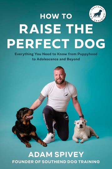 How to Raise the Perfect Dog 9780593797099 Adam Spivey, Verzenden, Gelezen, Adam Spivey