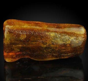 Spectaculair! NATUURLIJK! Goud Baltisch Amber Gepolijste -