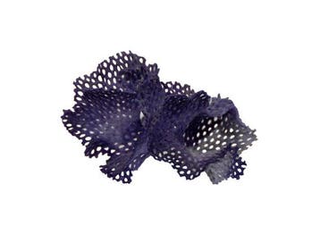 Maritiem kunstwerk van de natuur: filigrane Bryozoa-kolonie