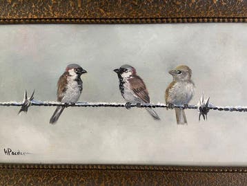 henk poeder - Drie mussen op prikkeldraad