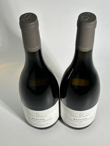 2024 Domaine Berthelemot Clos des Mouches Blanc - Beaune, Nieuw