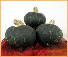 Autumn Cup kabocha pompoen basiseenheid, Nieuw