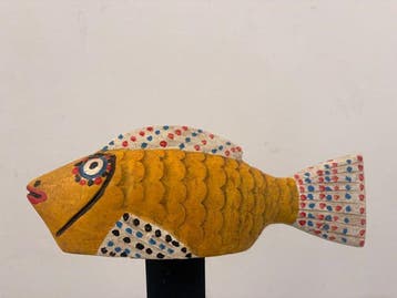 idioot Hout Het Bozo-vis die uit Mali komt. - 35 cm (Zonder