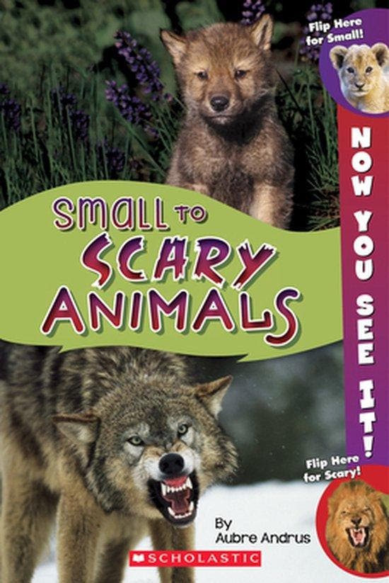 Now You See It! Small to Scary Animals 9780545889605, Livres, Langue | Anglais, Envoi