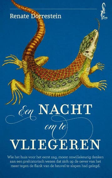 Een nacht om te vliegeren / Salamander / 7 9789021424224, Verzenden, Zo goed als nieuw, Renate Dorrestein