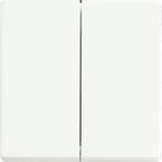 ABB Busch-Jaeger Schakelelement/Centrale Plaat -, Verzenden, Nieuw