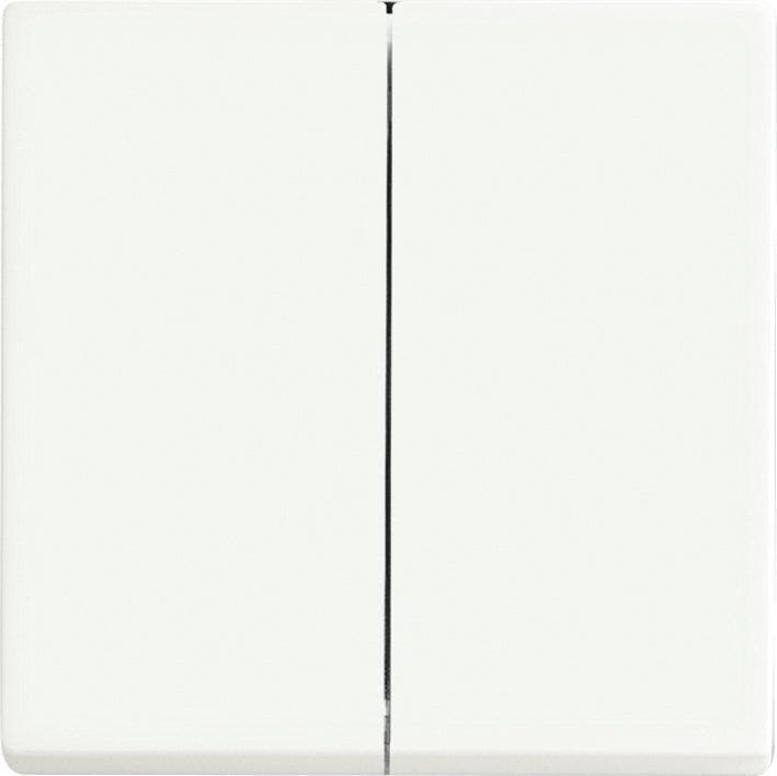 ABB Busch-Jaeger Schakelelement/Centrale Plaat -, Doe-het-zelf en Bouw, Elektriciteit en Kabels, Verzenden