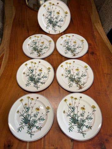Villeroy & Boch - Eetservies - Porselein - Botanica