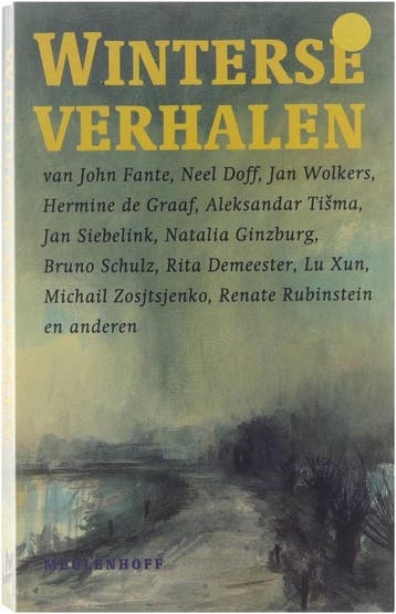 Winterse verhalen 9789029097598 Bruno Schulz, Verzenden, Bruno Schulz