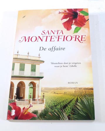 DE AFFAIRE - Santa Montefiore 9789022573549 Santa Montefiore, Boeken, Verzenden, Zo goed als nieuw, Santa Montefiore