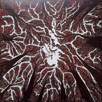 Trash Boat - Crown Shyness, Verzenden