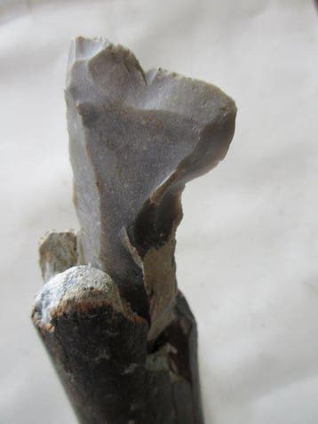 Mesolithisch / Epipaleolithisch Been Hand axe - 230 mm