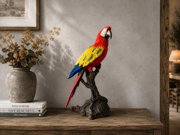 Beeld, life size colorful parrot - 63 cm - polyresin