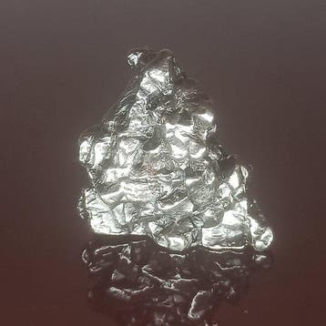 Spectaculaire meteoriet Campo del Cielo. Sculpturaal, Verzamelen, Mineralen en Fossielen
