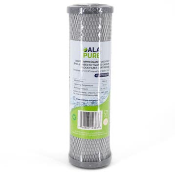 Alapure Koolstoffilter Met Zilver ALA-CTO10-AG, Verzenden, Nieuw