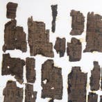 Oude Egypte, Nieuwe rijk Papyrus Fragmenten met hiërogliefen