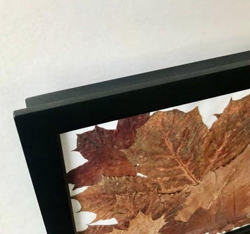 VK Art - Twelve Leaves, Antiquités & Art
