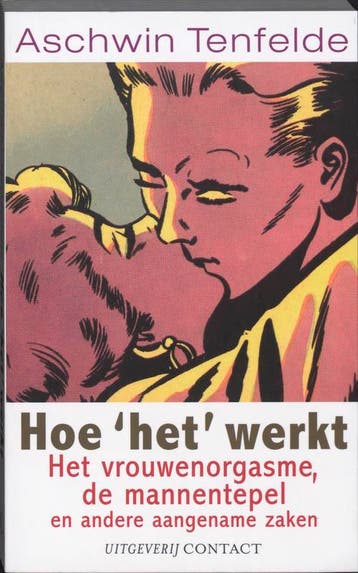 Hoe het werkt 9789025428983 Aschwin Tenfelde, Verzenden, Gelezen, Aschwin Tenfelde