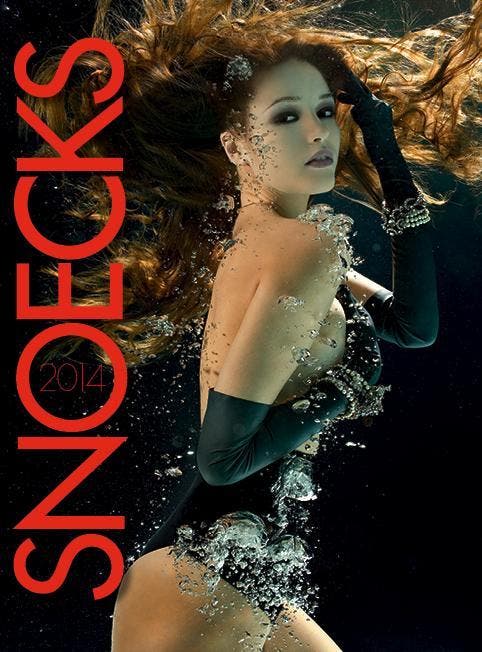 Snoecks 2014 9789077885277, Livres, BD, Envoi