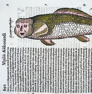 Aldrovandi; Fish, Monster Carp with Human Face!!! - hand