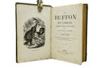 Auguste Dubois / Freeman et Massieu - Le Buffon des