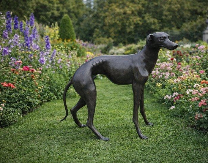 Beeld, Bronze: XL Greyhound Dog - 77 cm - Brons - 2026, Antiek en Kunst, Curiosa en Brocante