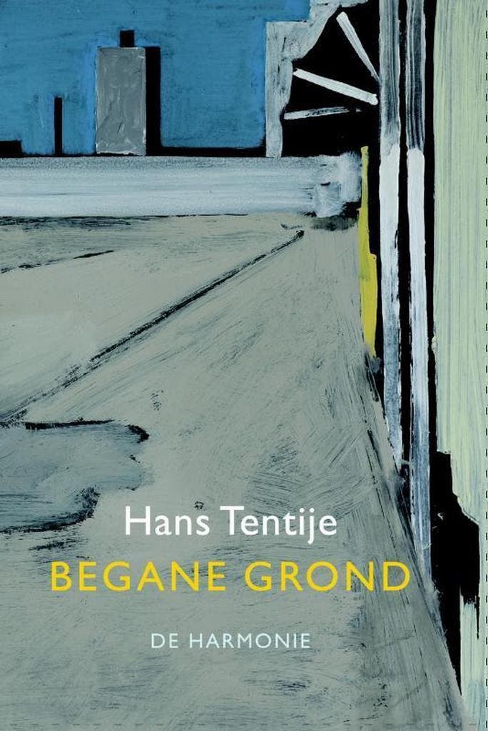Begane grond 9789463360654 Hans Tentije, Boeken, Gedichten en Poëzie, Zo goed als nieuw, Verzenden