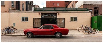 Roberto Cavalli (1971) - Somewhere, in New York City - #1136