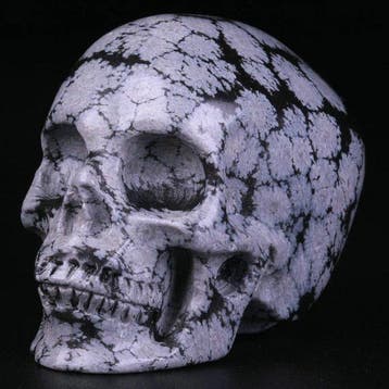 79 g Snowflake Obsidian Skull · Orakel van de Rookende Nacht, Verzamelen