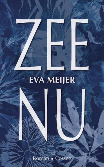 Zee nu 9789464520132 Eva Meijer, Verzenden, Eva Meijer