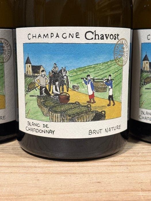 Chavost, Blanc de Chardonnay - Champagne Brut Nature - 3, Collections, Vins