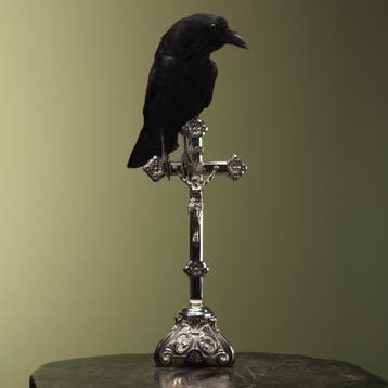 Kraai op Kruis Taxidermie Opgezette Dieren By Max, Ophalen of Verzenden, Nieuw, Vogel, Opgezet dier