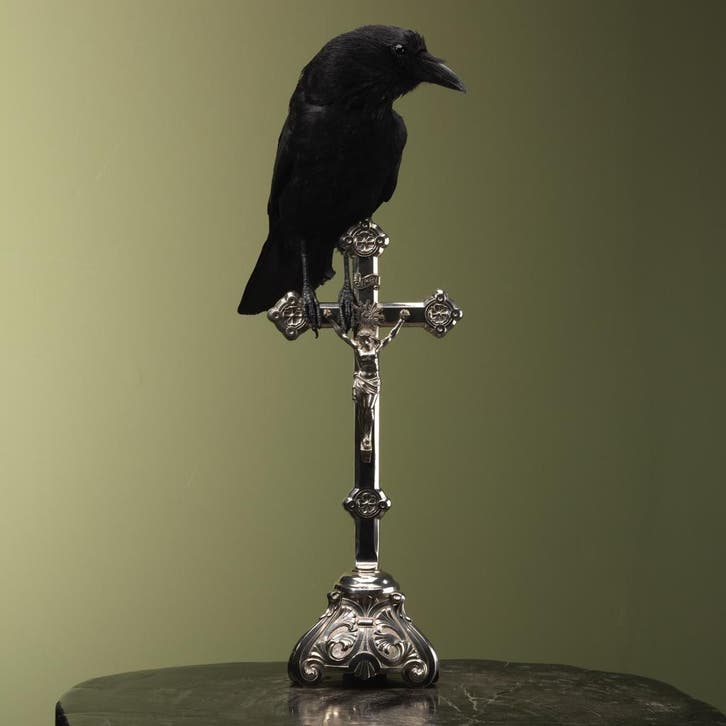 Kraai op Kruis Taxidermie Opgezette Dieren By Max, Verzamelen, Dierenverzamelingen, Opgezet dier, Nieuw, Vogel, Ophalen of Verzenden