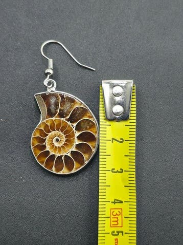 Ammoniet - Gefossiliseerd dier - Pair of polished ammonite, Antiek en Kunst