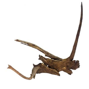 Driftwood (Hornwood), Verzenden, Nieuw