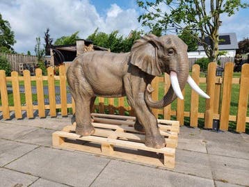 Statue, XXL Elephant - 145cm - 93.5 cm - mgo - 2026