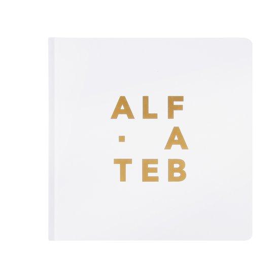 Klyntje ALFABET. boek - Nederlands hiphop artiesten, Livres, Livres Autre, Envoi