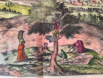 Italie - Terracina Latium; BRAUN, Georg & HOGENBERG, Frans -, Boeken, Nieuw