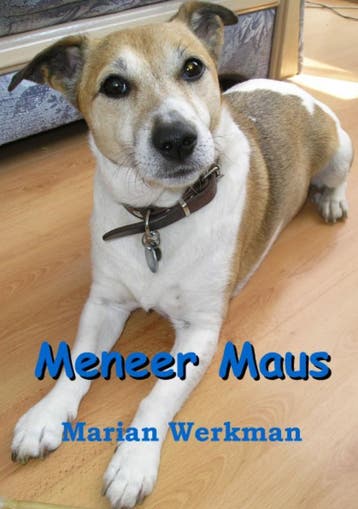Meneer Maus 9789085701620 Marian Werkman, Verzenden, Marian Werkman