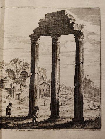 Italië - Rome / Forum Romanum (Campo Vaccino); Matthäus