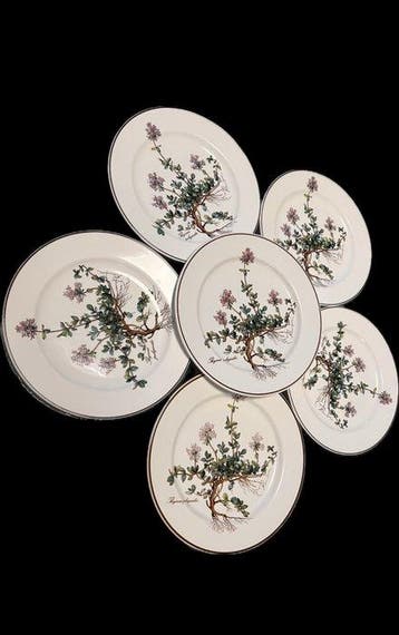 Villeroy & Boch - Bord (6) - Botanica - Porselein