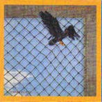 Little River Band - The Net, Verzenden, Gebruikt