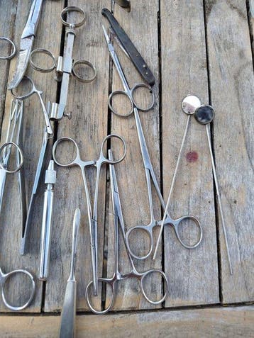 Medisch instrument (40) - Staal - Een partij chirurgische